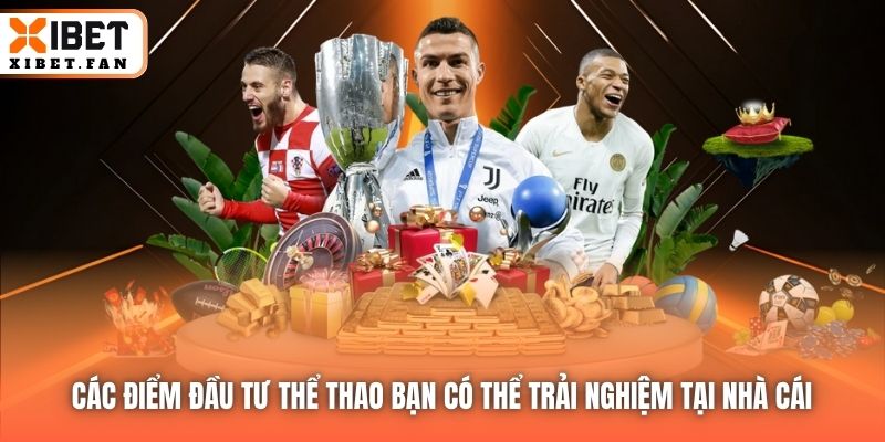 Các điểm đầu tư thể thao bạn có thể trải nghiệm tại nhà cái