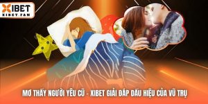 Mơ Thấy Người Yêu Cũ - Xibet Giải Đáp Dấu Hiệu Của Vũ Trụ