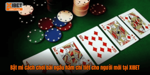 Bật mí cách chơi bài ngầu hầm chi tiết cho người mới tại XIBET
