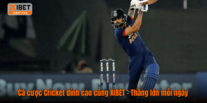 Cá cược Cricket đỉnh cao cùng XIBET – Thắng lớn mỗi ngày