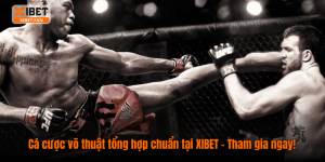 Cá cược võ thuật tổng hợp chuẩn tại XIBET – Tham gia ngay!