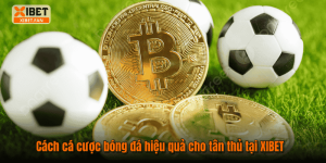 Cách cá cược bóng đá hiệu quả cho tân thủ tại XIBET