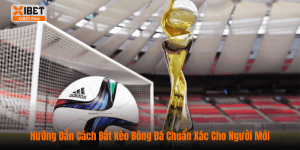 Hướng Dẫn Cách Bắt Kèo Bóng Đá Chuẩn Xác Cho Người Mới