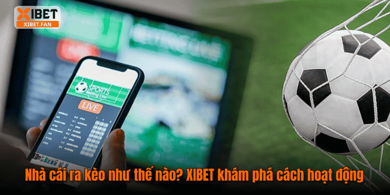 Nhà cái ra kèo như thế nào? XIBET khám phá cách hoạt động