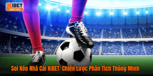Soi Kèo Nhà Cái XIBET: Chiến Lược Phân Tích Thông Minh
