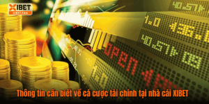 Thông tin cần biết về cá cược tài chính tại nhà cái XIBET