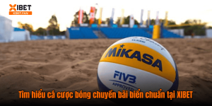 Tìm hiểu cá cược bóng chuyền bãi biển chuẩn tại XIBET
