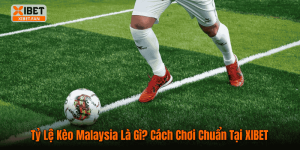 Tỷ Lệ Kèo Malaysia Là Gì? Cách Chơi Chuẩn Tại XIBET