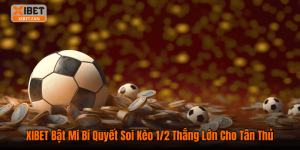 XIBET Bật Mí Bí Quyết Soi Kèo 1/2 Thắng Lớn Cho Tân Thủ