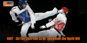 XIBET – Chi Tiết Cách Chơi Cá Độ Taekwondo Cho Người Mới