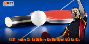 XIBET – Hướng Dẫn Cá Độ Bóng Bàn Cho Người Mới Bắt Đầu