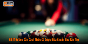 XIBET Hướng Dẫn Cách Thức Cá Cược Bida Chuẩn Cho Tân Thủ