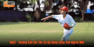 XIBET – Hướng Dẫn Chi Tiết Cá Độ Bóng Chày Cho Người Mới
