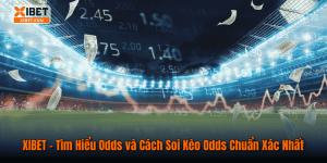 XIBET – Tìm Hiểu Odds và Cách Soi Kèo Odds Chuẩn Xác Nhất