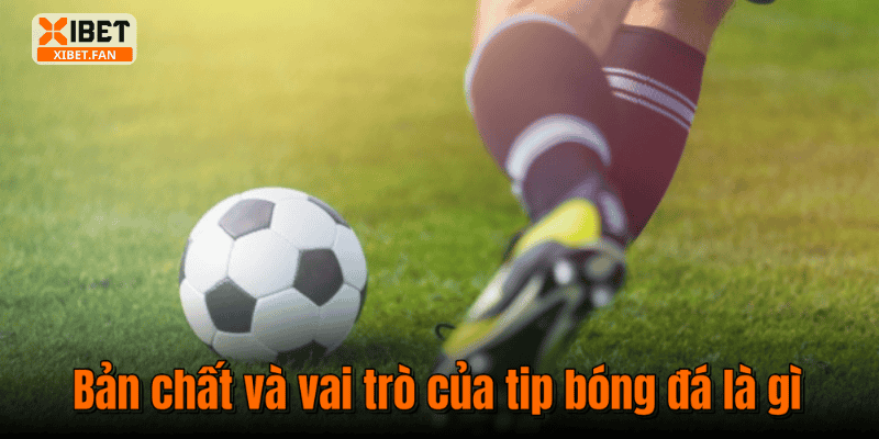 Bản chất và vai trò của tip bóng đá là gì