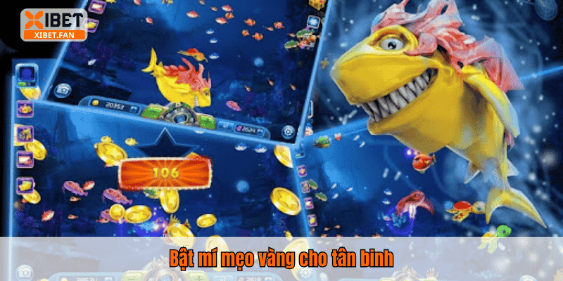 Bật mí mẹo vàng cho tân binh