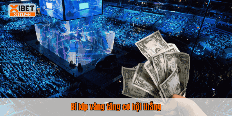 Bí kíp vàng tăng cơ hội thắng
