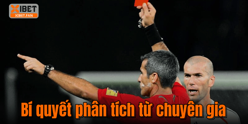 Bí quyết phân tích từ chuyên gia