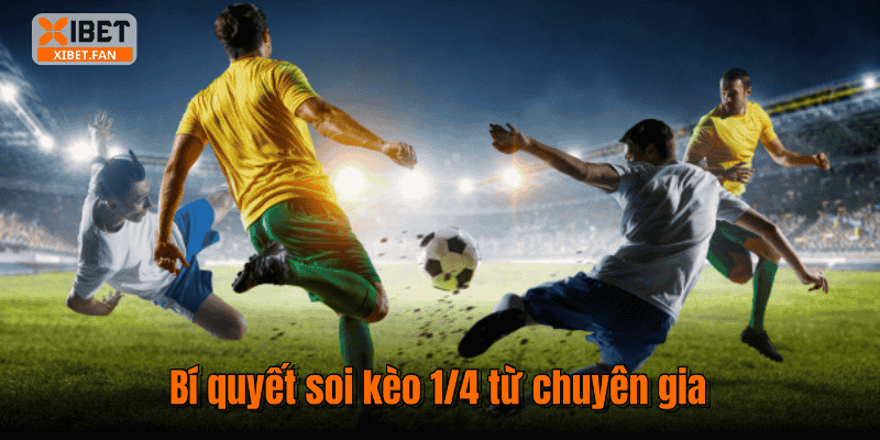 Bí quyết soi kèo 1/4 từ chuyên gia