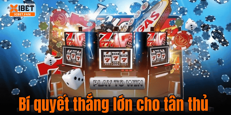 Bí quyết thắng lớn cho tân thủ