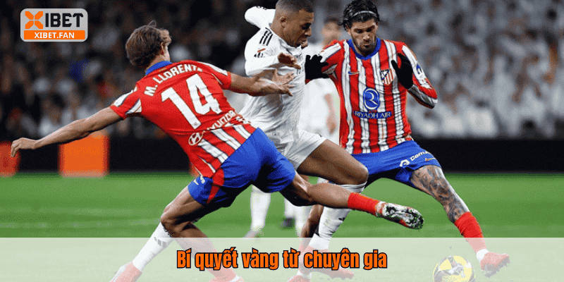 Bí quyết vàng từ chuyên gia