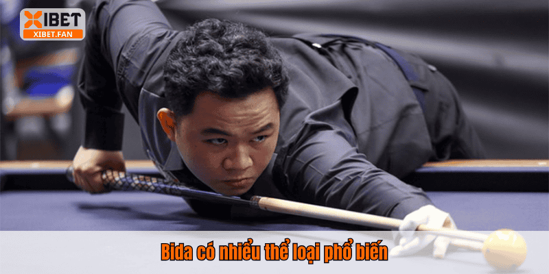 Bida có nhiểu thể loại phổ biến