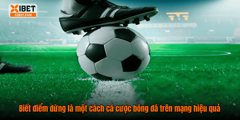 Biết điểm dừng là một cách cá cược bóng đá trên mạng hiệu quả