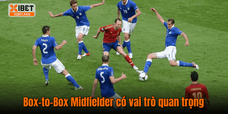 Box-to-Box Midfielder có vai trò quan trọng