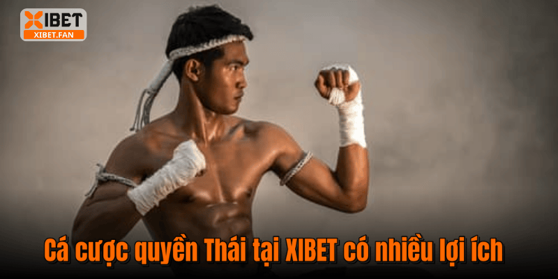 Cá cược quyền Thái tại XIBET có nhiều lợi ích