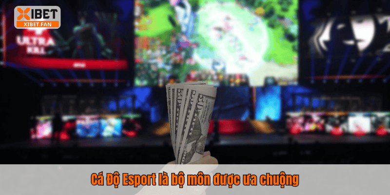 Cá Độ Esport là bộ môn được ưa chuộng