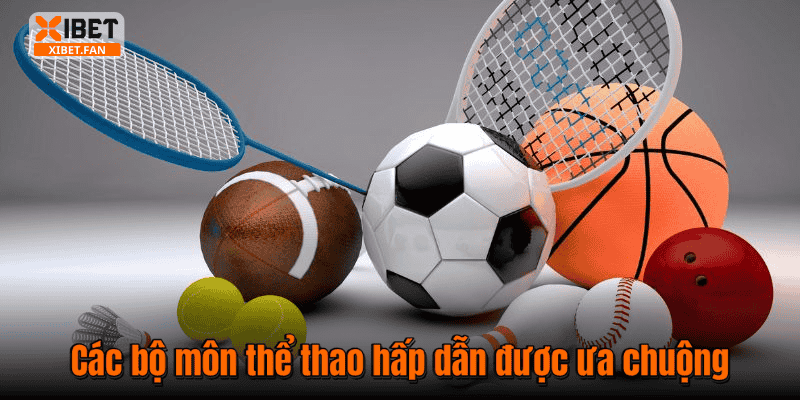 Các bộ môn thể thao hấp dẫn được ưa chuộng