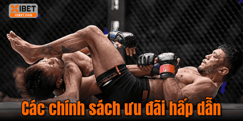 Các chính sách ưu đãi hấp dẫn
