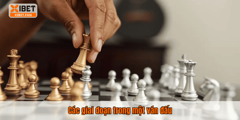Các giai đoạn trong một ván đấu