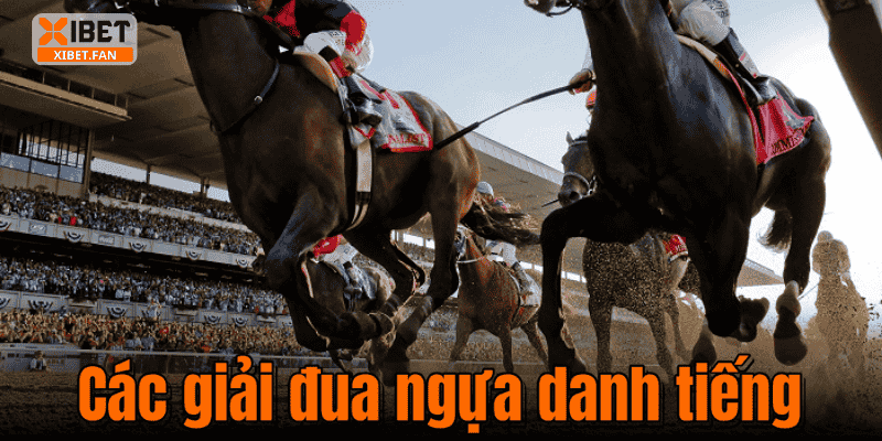 Các giải đua ngựa danh tiếng