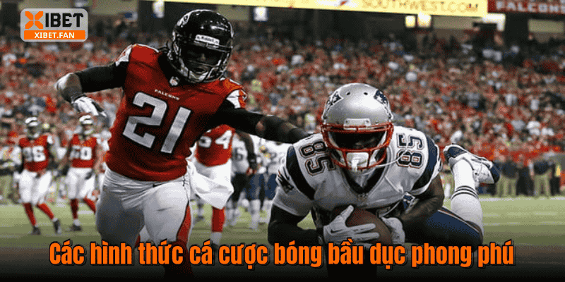 Các hình thức cá cược bóng bầu dục phong phú