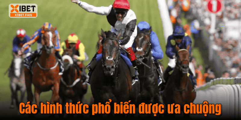 Các hình thức phổ biến được ưa chuộng