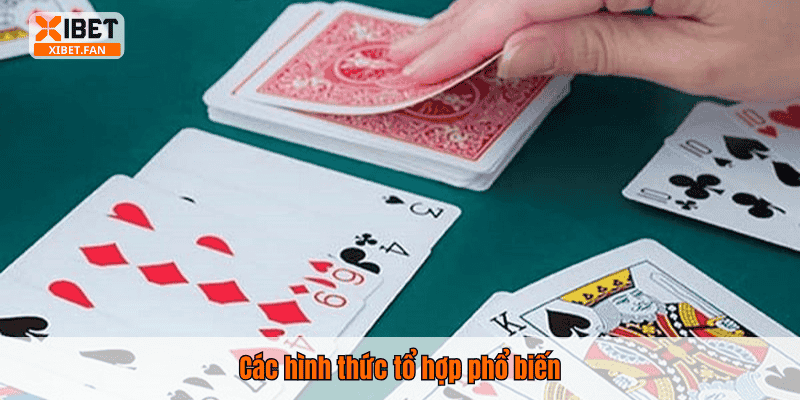 Các hình thức tổ hợp phổ biến