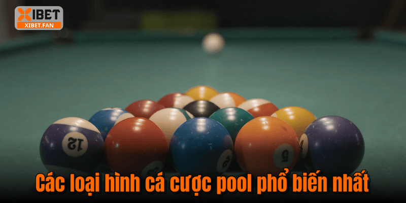 Các loại hình cá cược pool phổ biến nhất