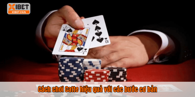 Cách chơi Catte hiệu quả với các bước cơ bản