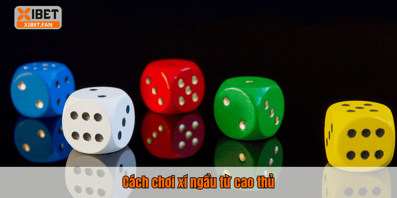 Cách chơi xí ngầu từ cao thủ