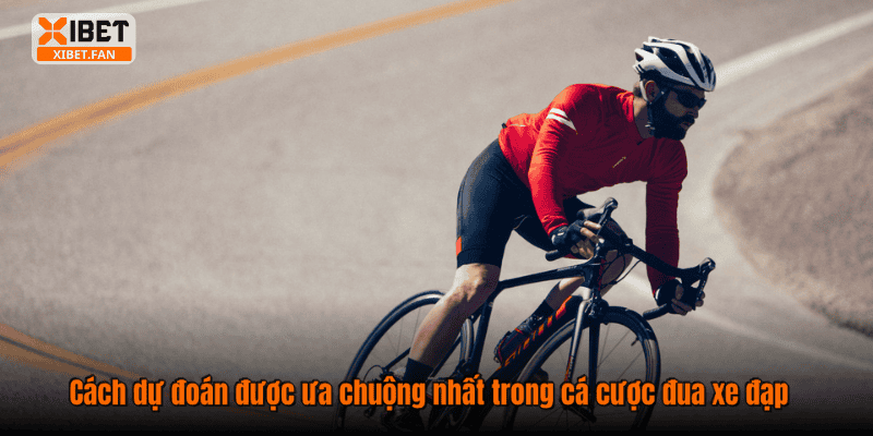 Cách dự đoán được ưa chuộng nhất trong cá cược đua xe đạp