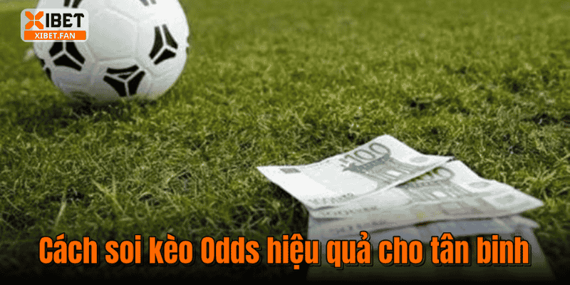 Cách soi kèo Odds hiệu quả cho tân binh
