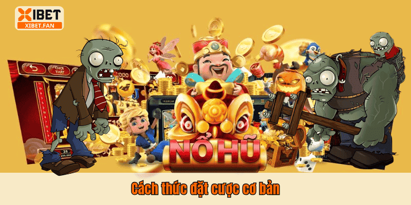 Cách thức đặt cược cơ bản