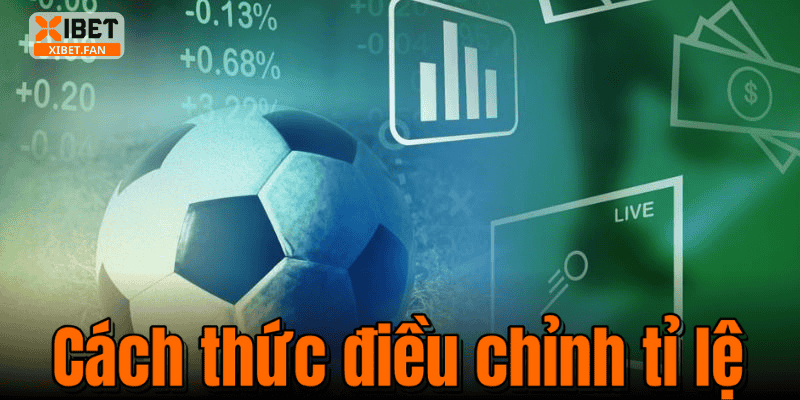 Cách thức điều chỉnh tỉ lệ