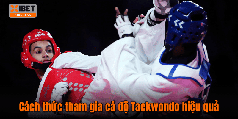 Cách thức tham gia cá độ Taekwondo hiệu quả