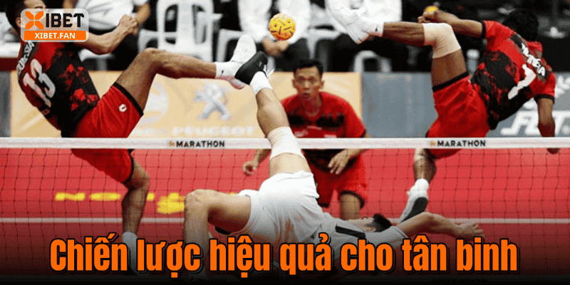Chiến lược hiệu quả cho tân binh