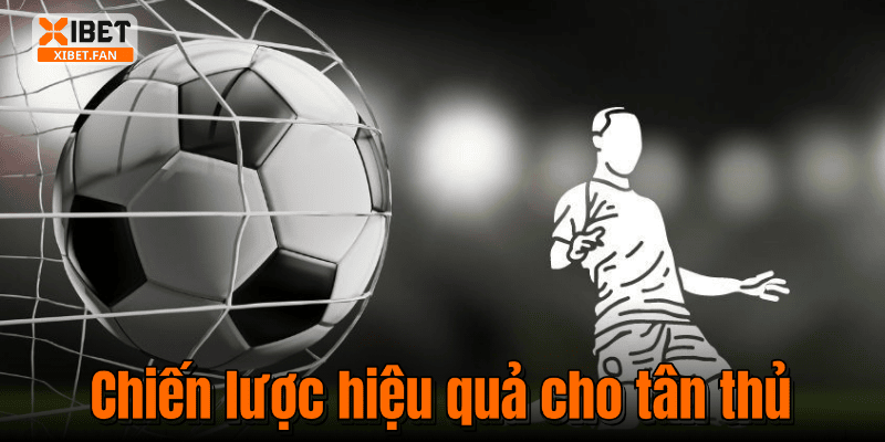 Chiến lược hiệu quả cho tân thủ