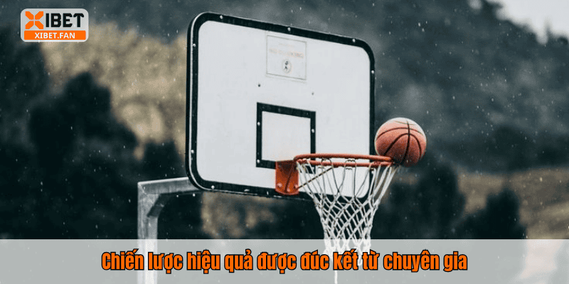 Chiến lược hiệu quả được đúc kết từ chuyên gia