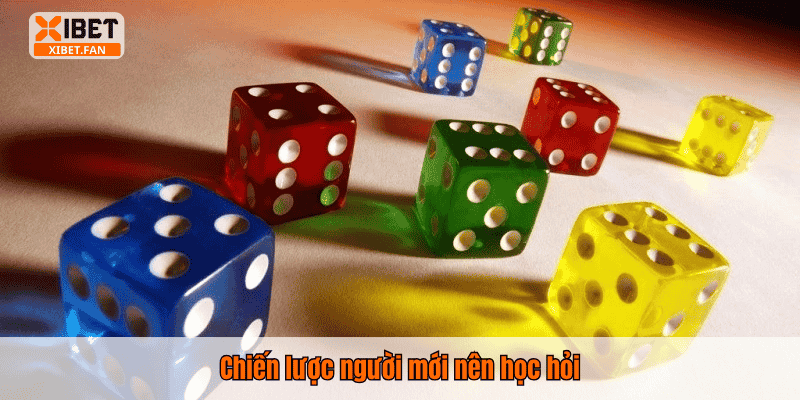 Chiến lược người mới nên học hỏi
