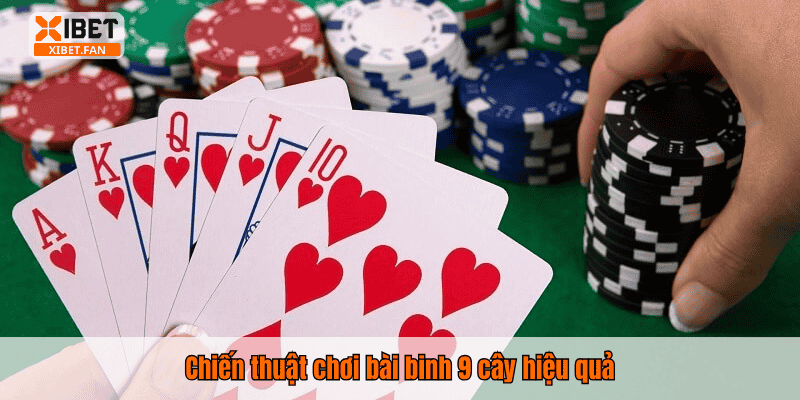 Chiến thuật chơi bài binh 9 cây hiệu quả